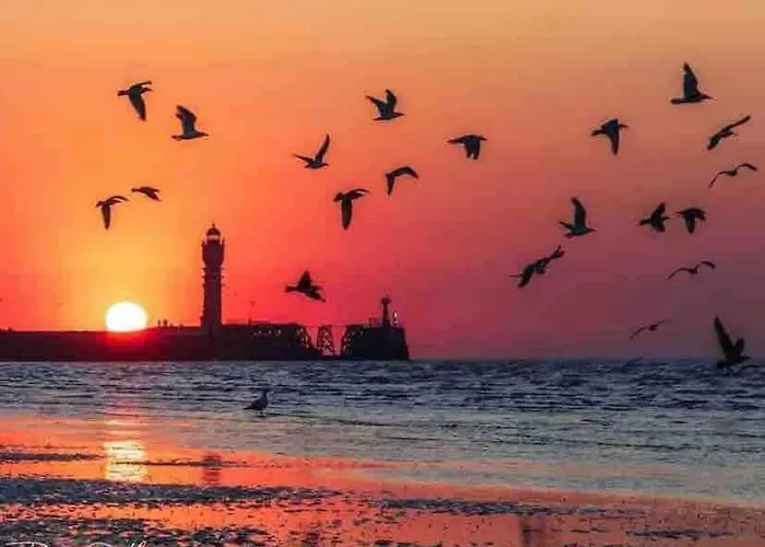 Casa Pop - Au Coeur De Malo Les Bains